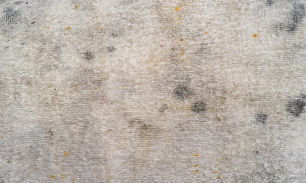 Can Dirty Carpet Make You Sick