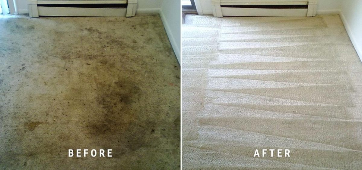Hydra Clean NW Before and After Carpet Cleaning