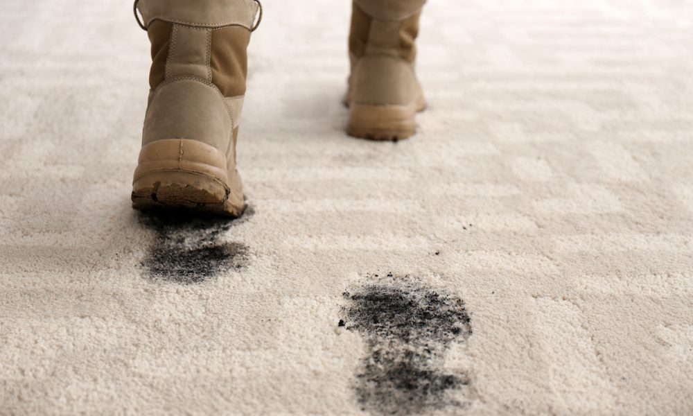 fall carpet cleaning