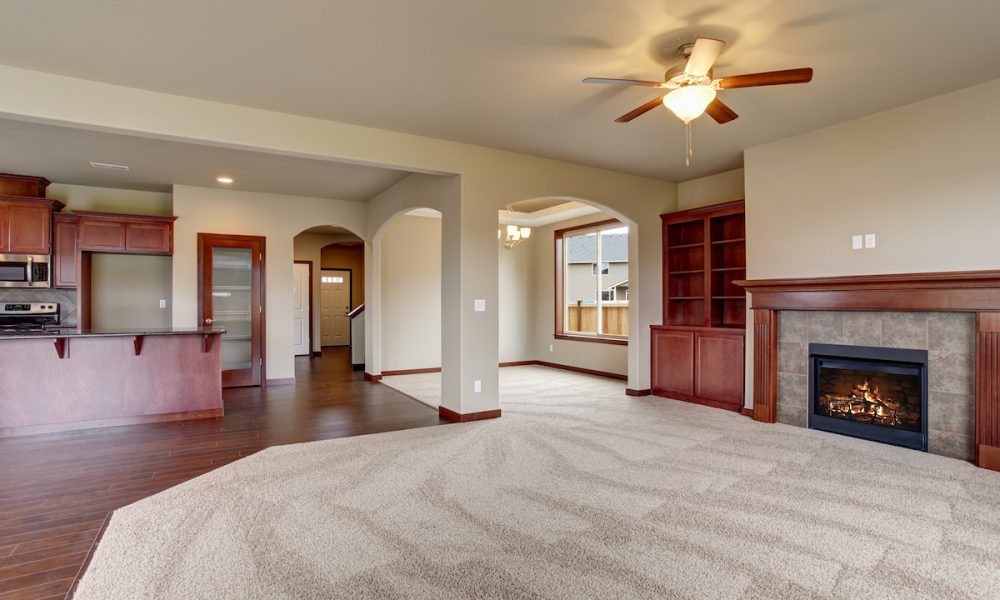 is professional carpet cleaning worth it